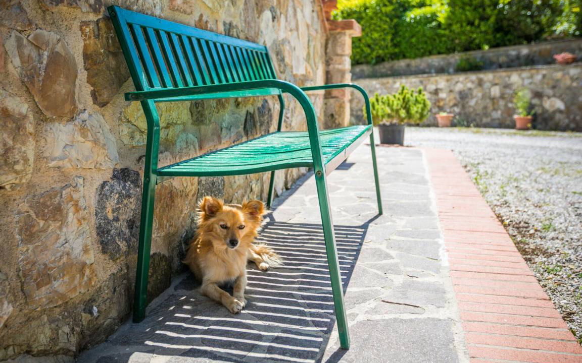 Photo of Others in Volterra
