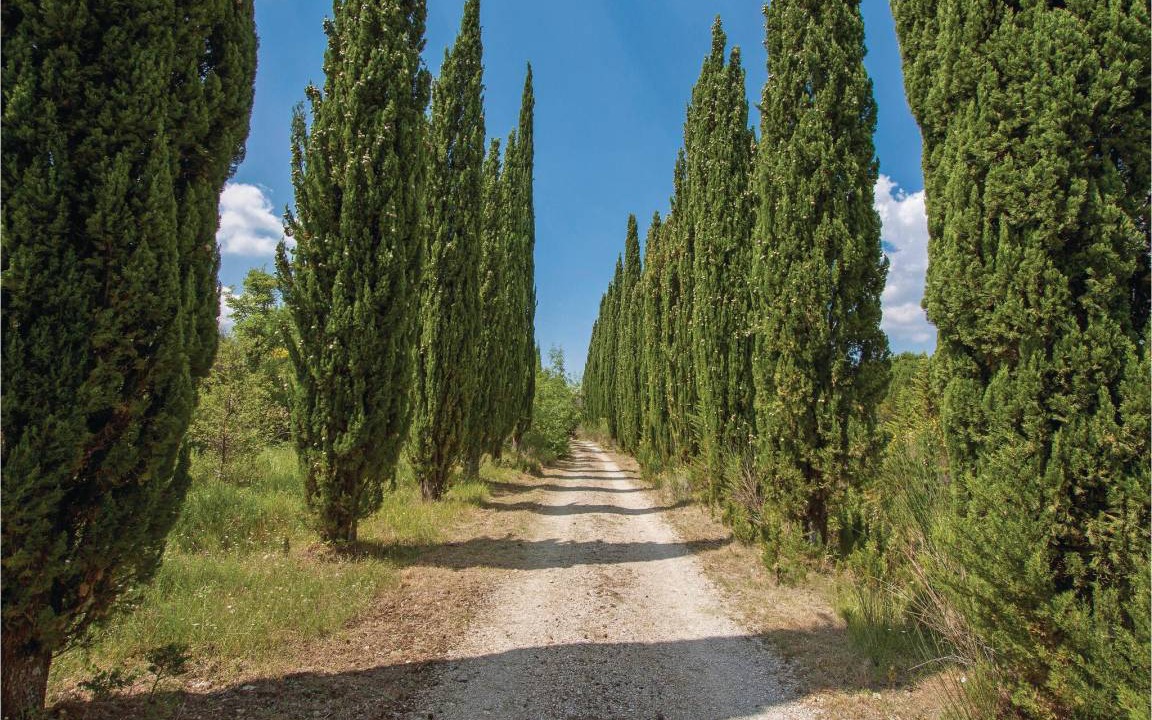 Photo of Others in Castelnuovo di Val di Cecina