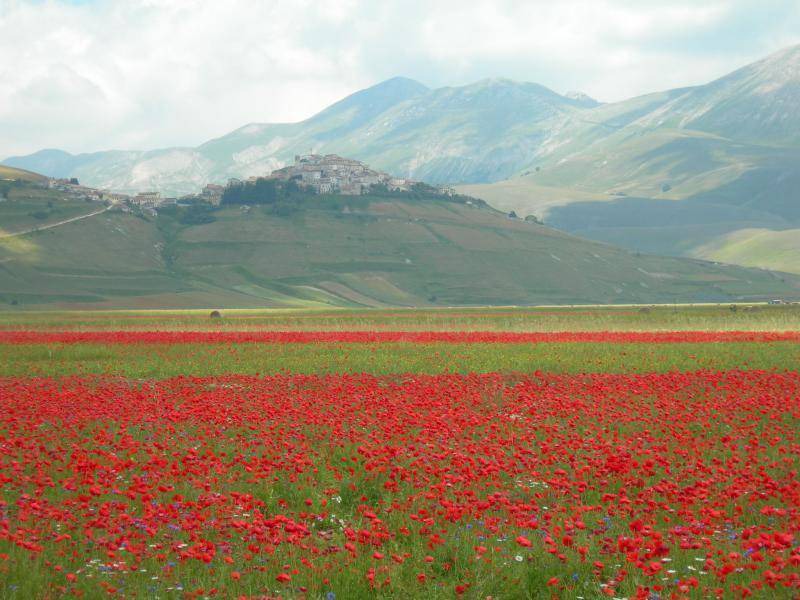 Photo of Others in Sant'Anatolia di Narco