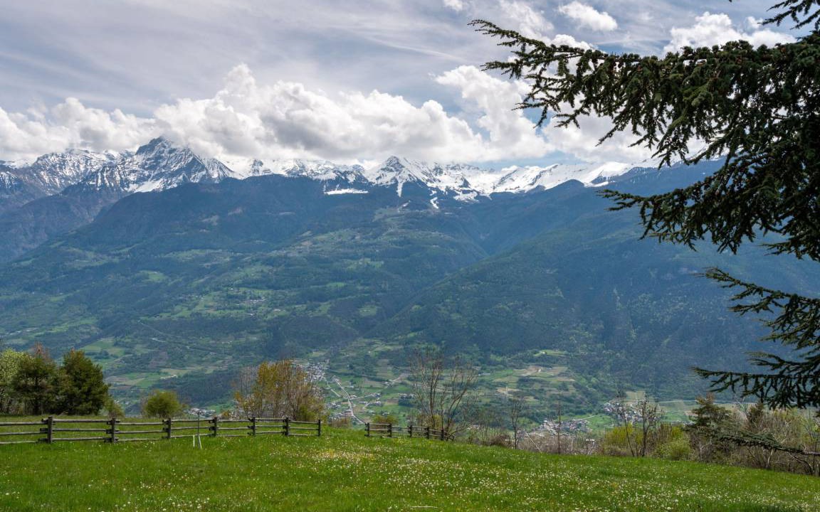 Photo of Others in Sarre