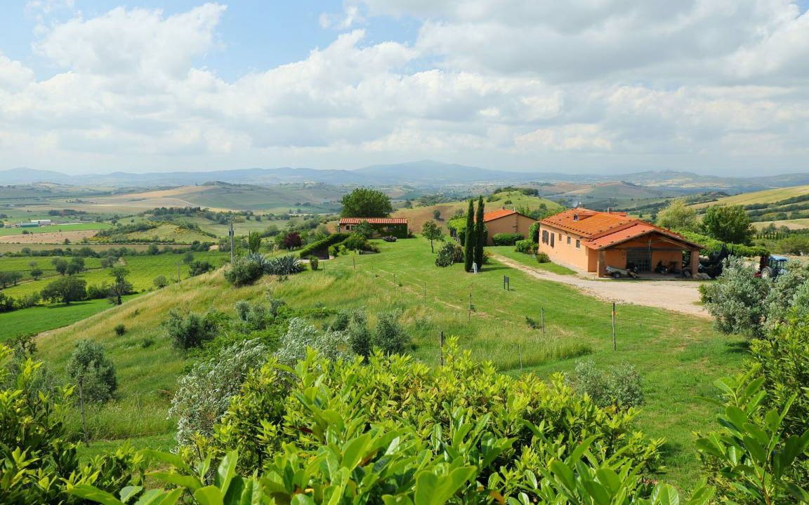 Photo of Others in Scansano