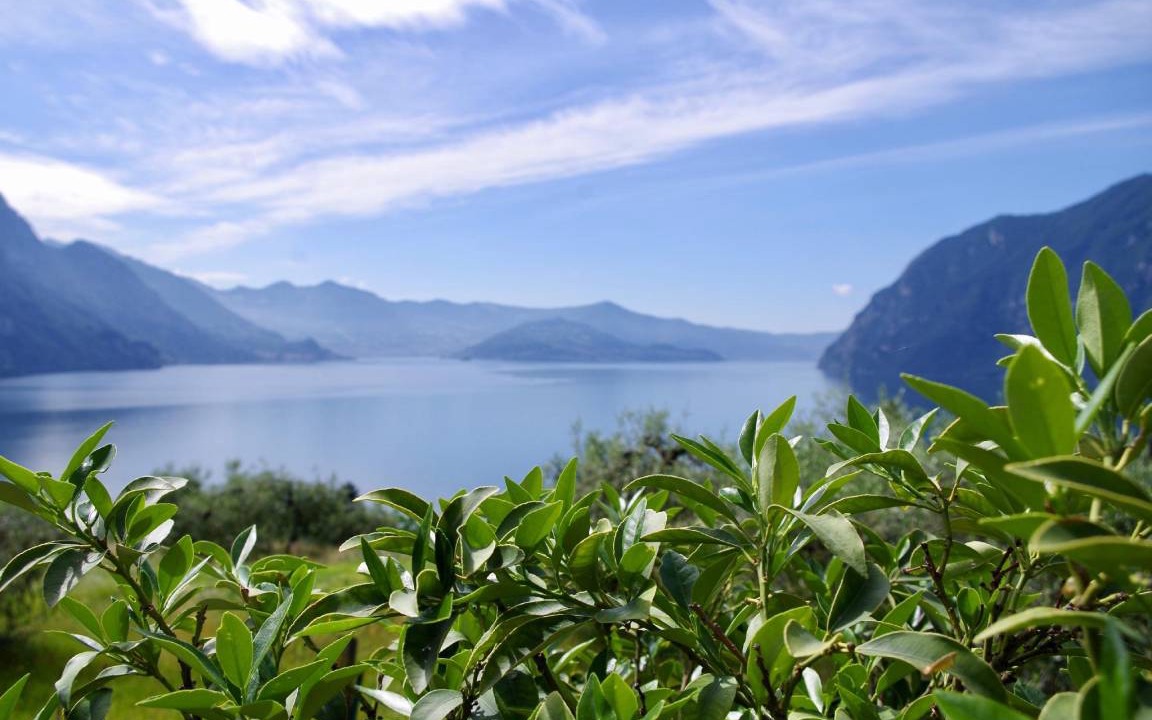 Photo of Others in Zorzino