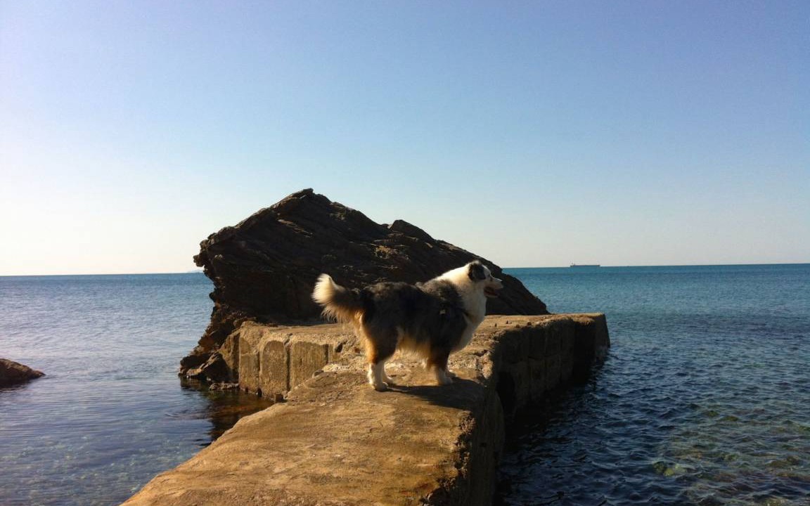 Photo of Others in Livorno