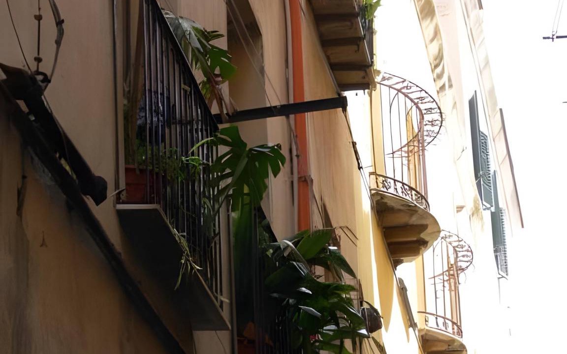 Photo of Others in Historic Castle District