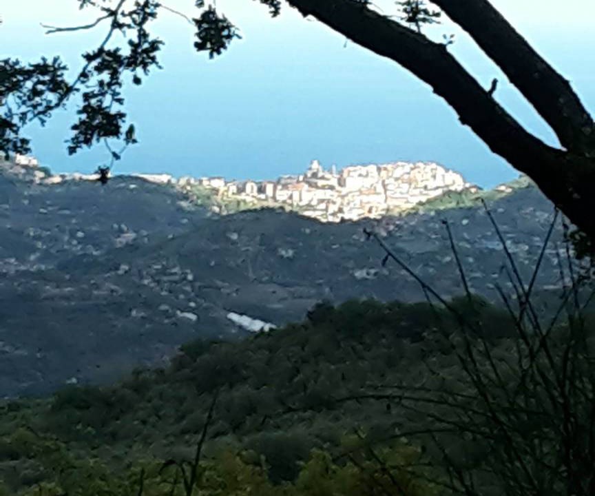 Photo of Others in Dolcedo