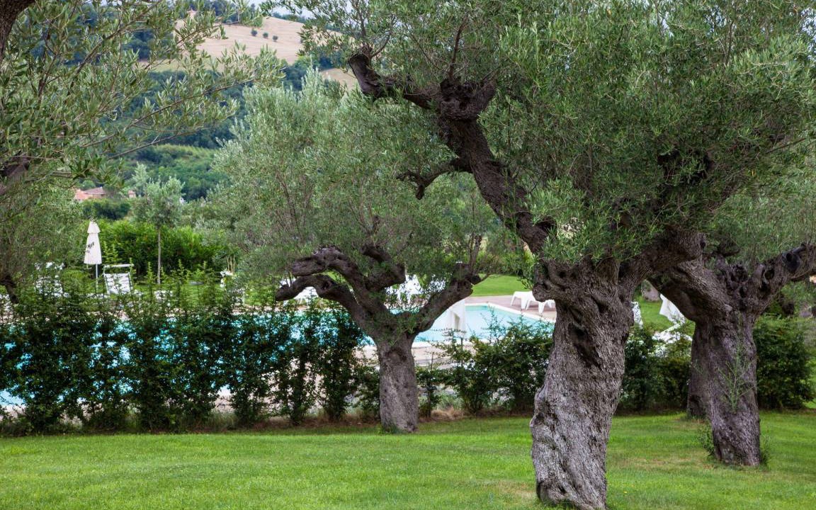 Photo of Others in Fossombrone