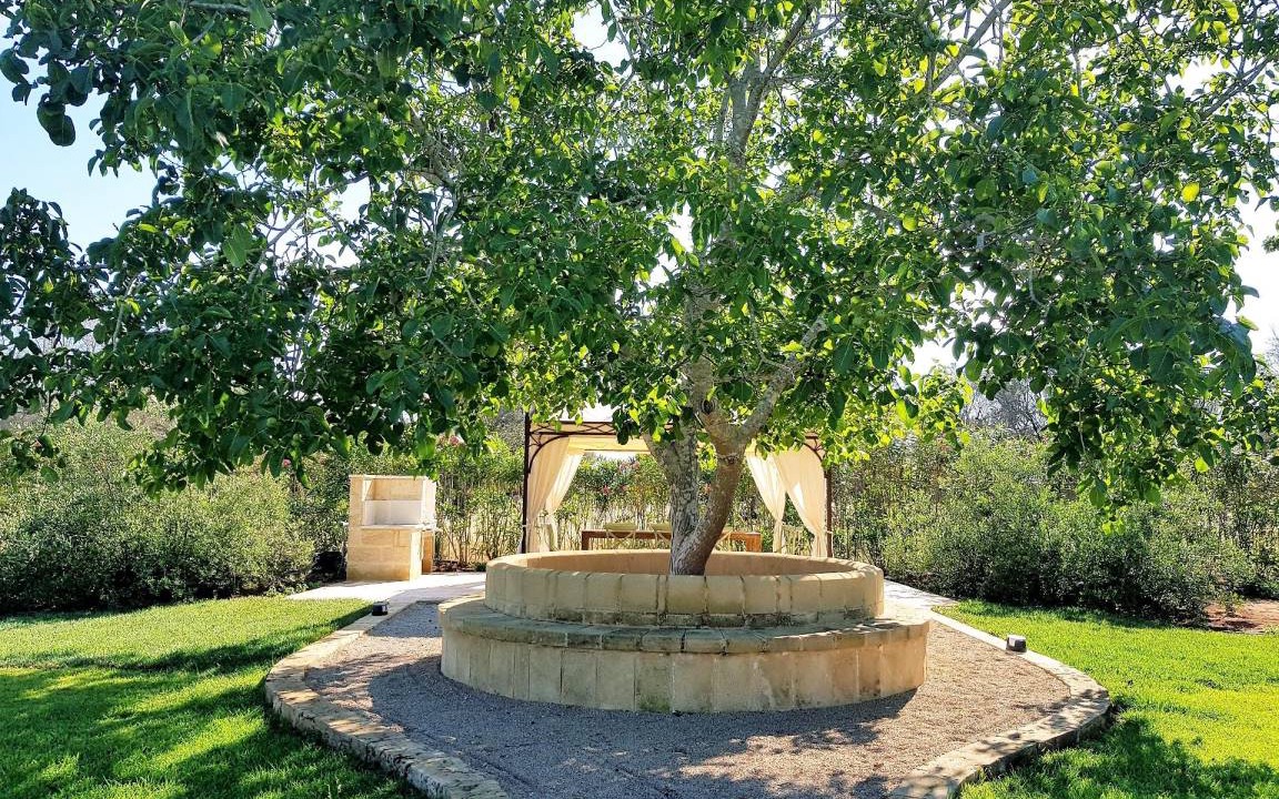 Photo of Others in Casarano