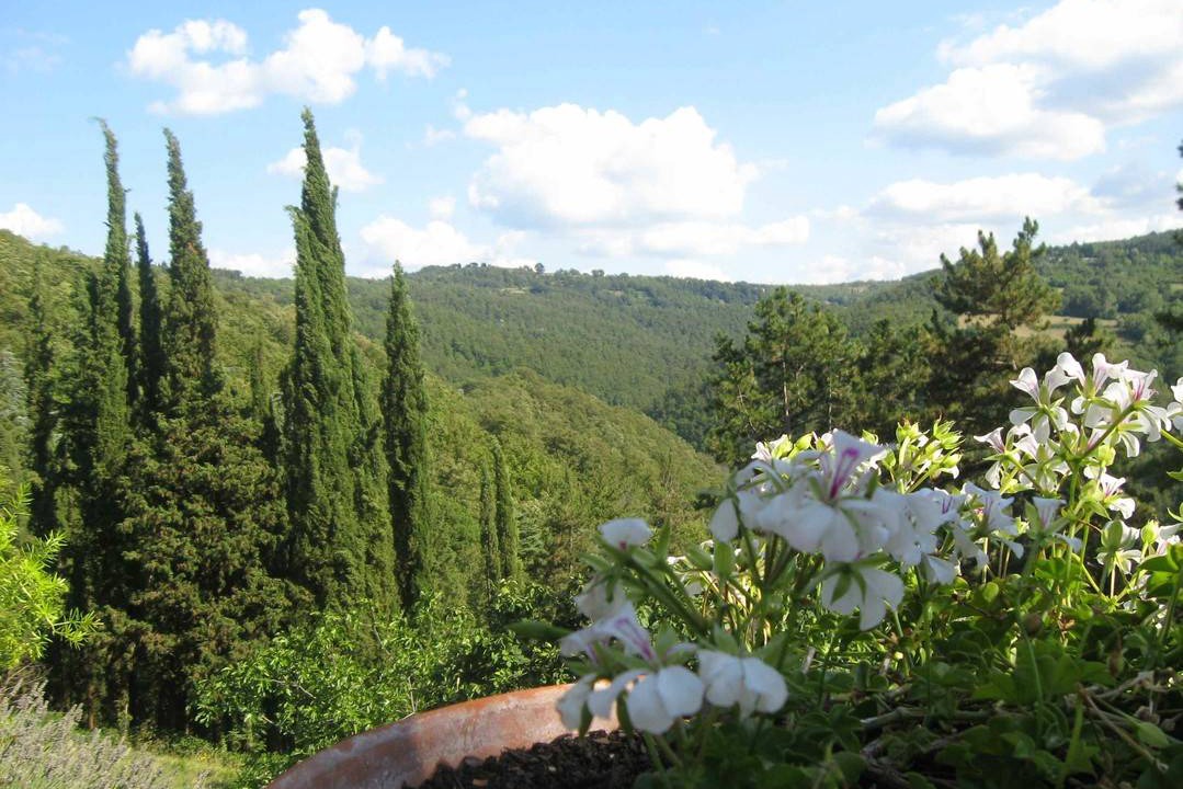 Photo of Others in Anghiari