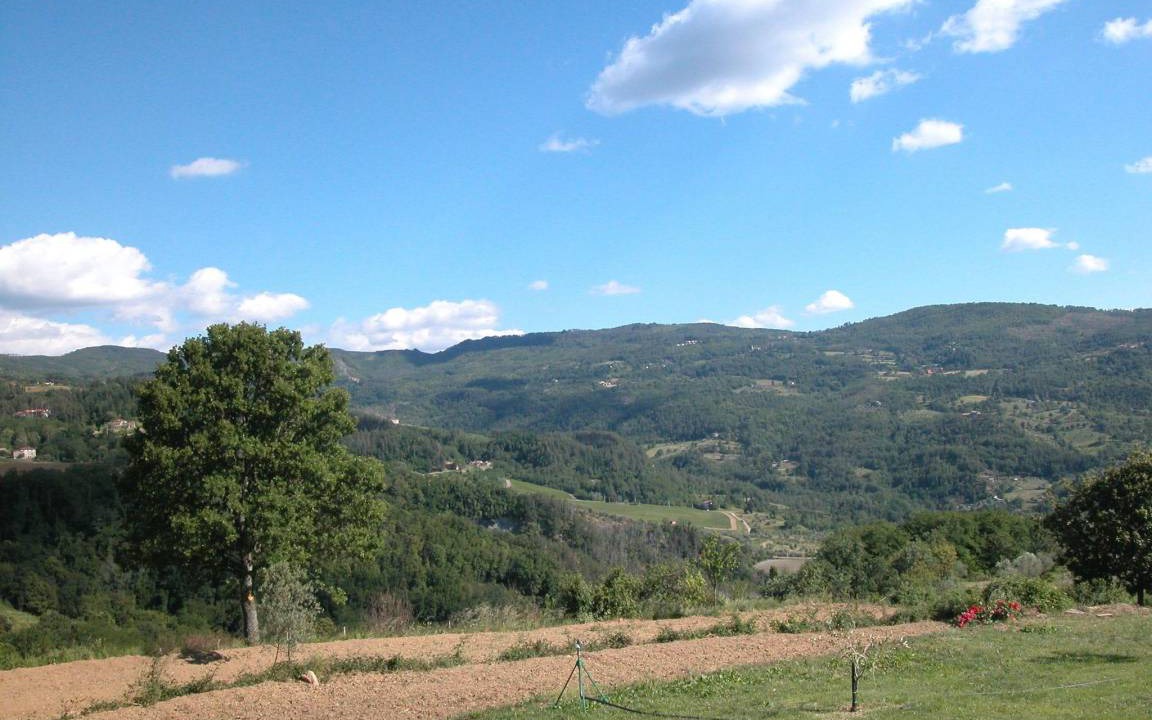 Photo of Others in Petrognano