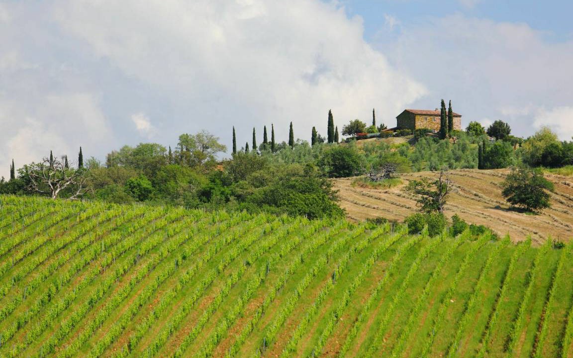 Photo of Others in Scansano