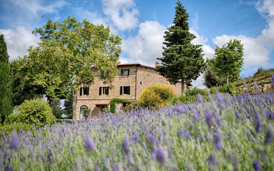Photo of Others in Panzano in Chianti