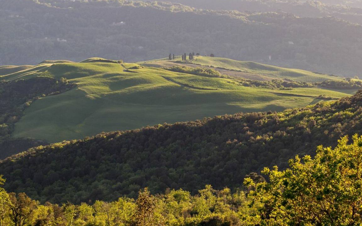 Photo of Others in Volterra