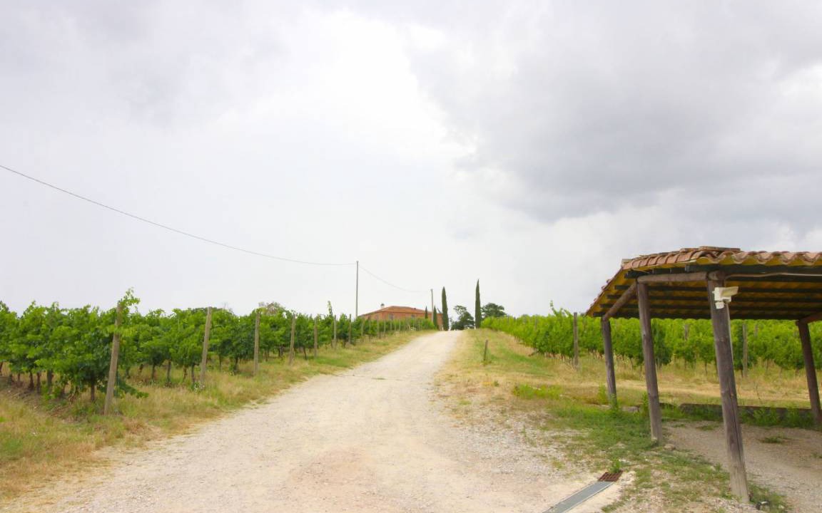 Photo of Others in Foiano della Chiana