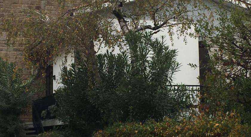 Photo of Others in Rovigo