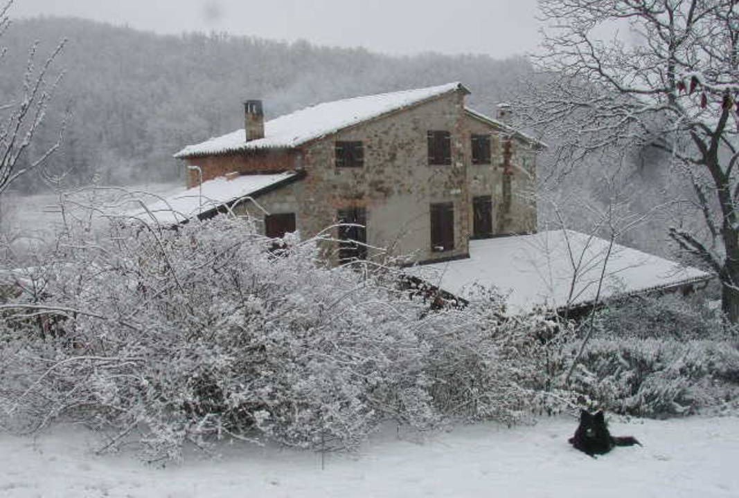Photo of Others in Langhirano