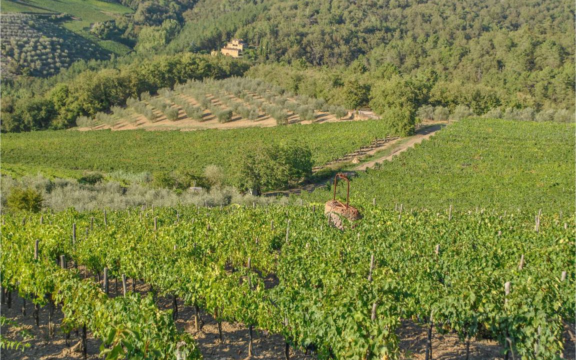 Photo of Others in Greve in Chianti