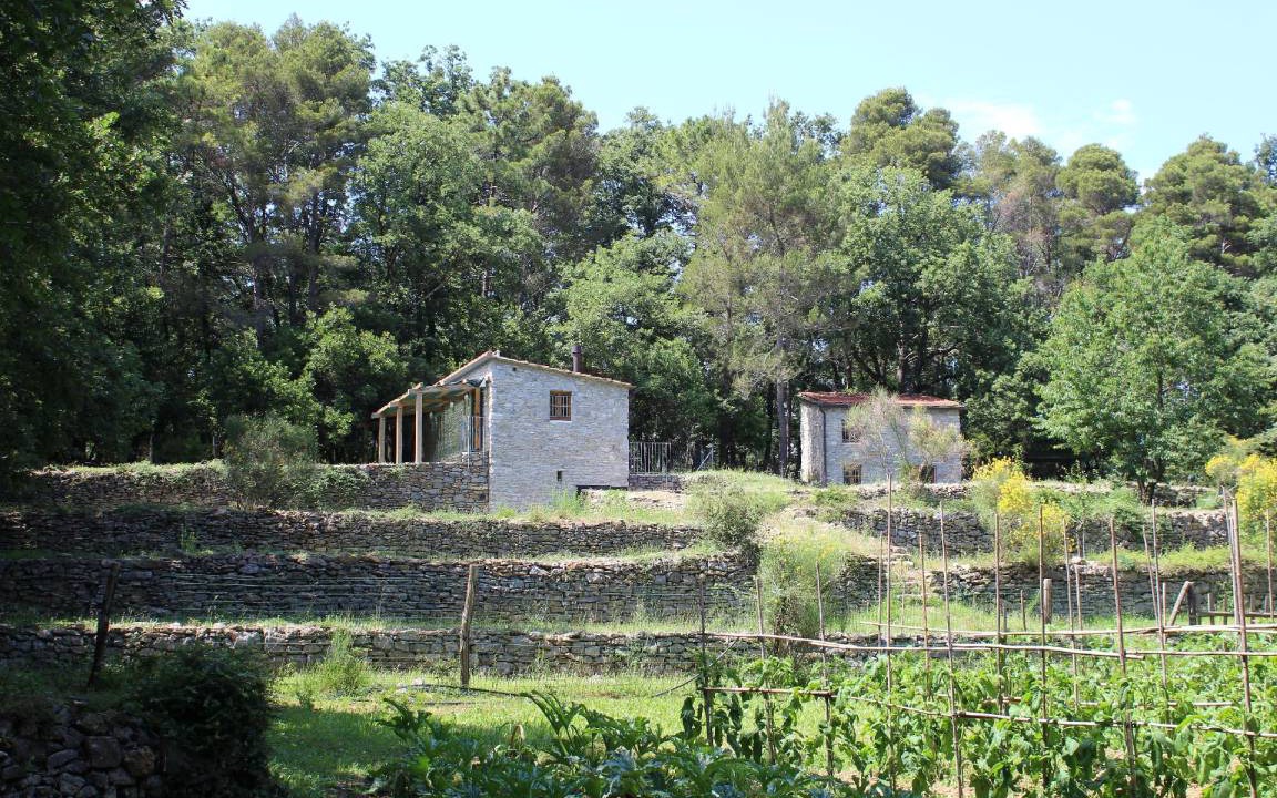 Photo of Others in Montemarcello