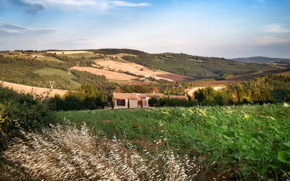 Photo of Others in San Venanzo