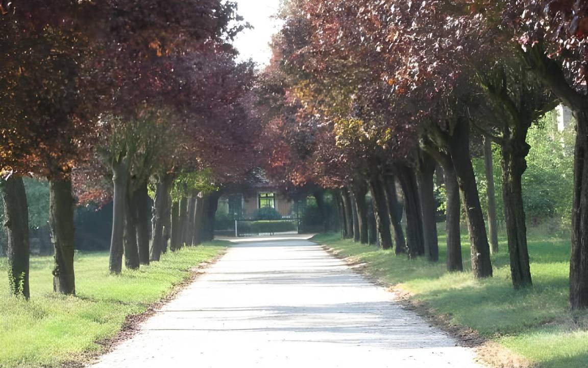 Photo of Others in Valenza