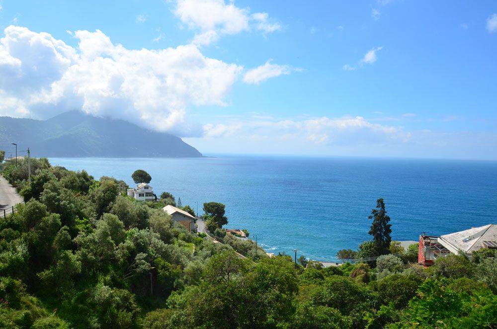 Photo of Outdoor in Sori