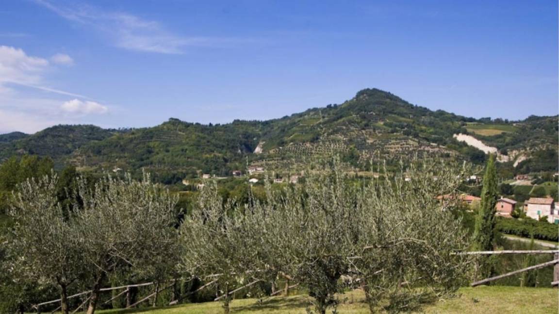 Photo of Others in Brisighella