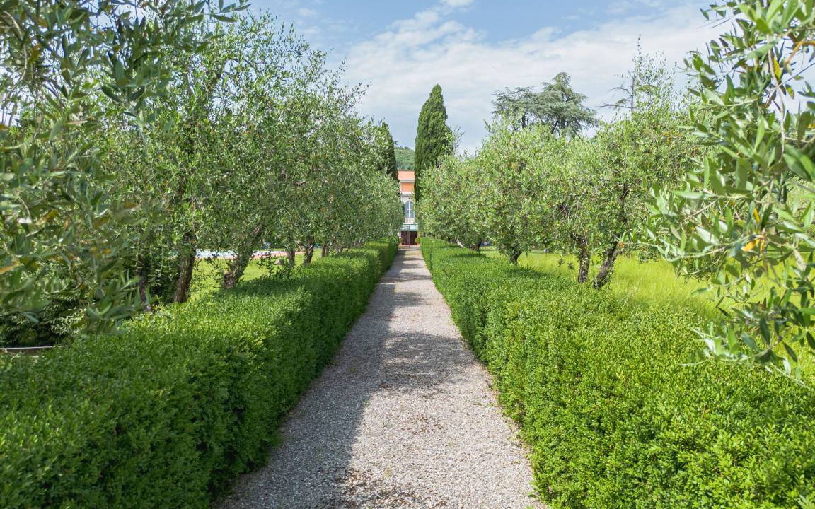 Photo of Others in Pistoia