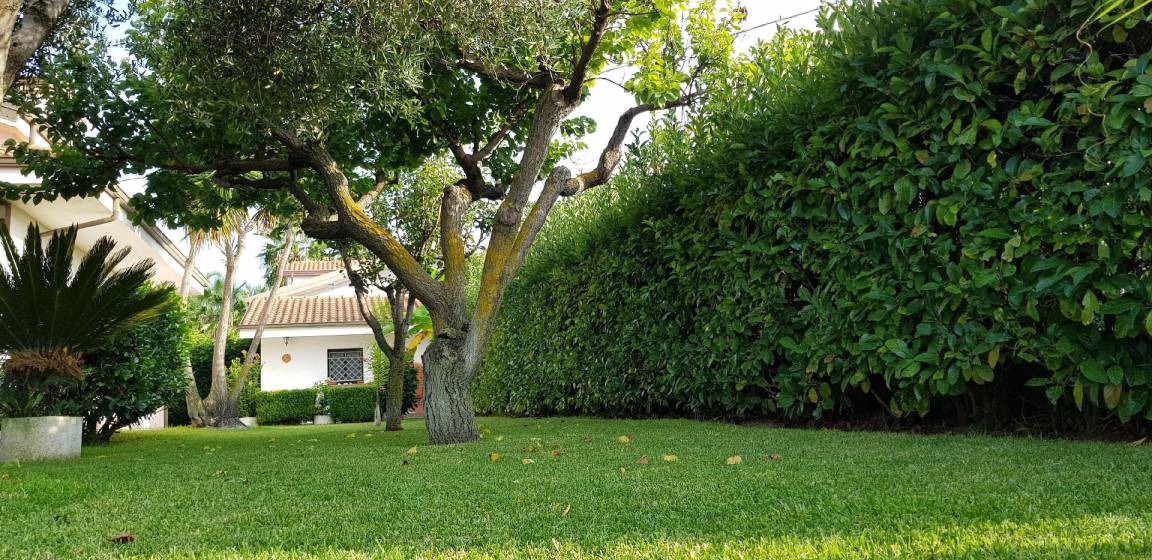 Photo of Outdoor in Ricadi