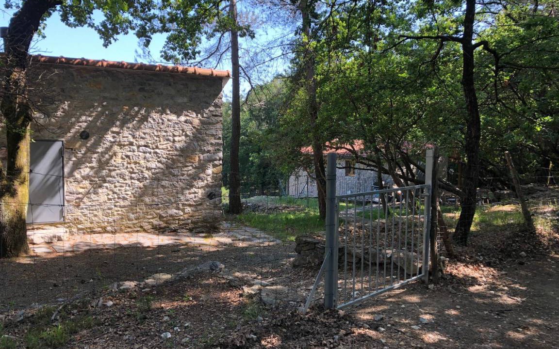 Photo of Others in Montemarcello