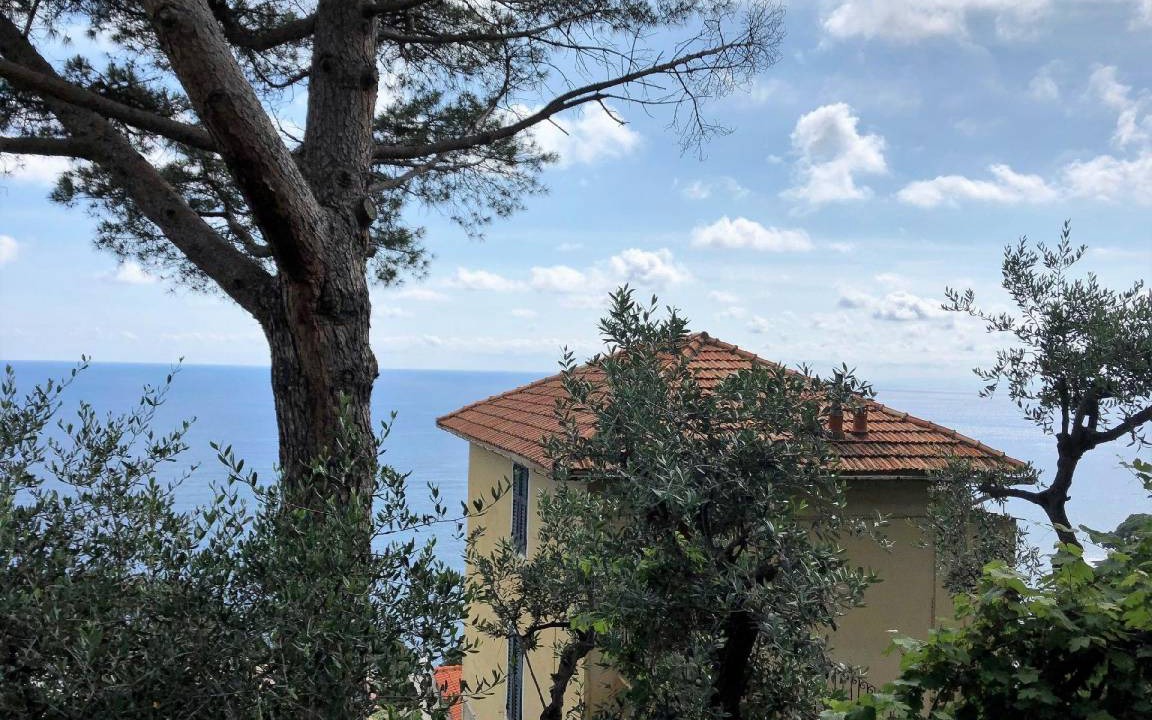 Photo of Others in Pieve Ligure