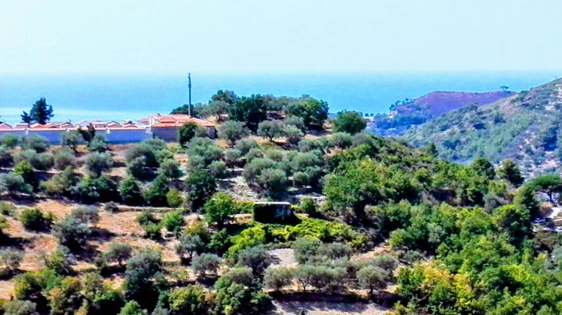 Photo of Others in Fornelli