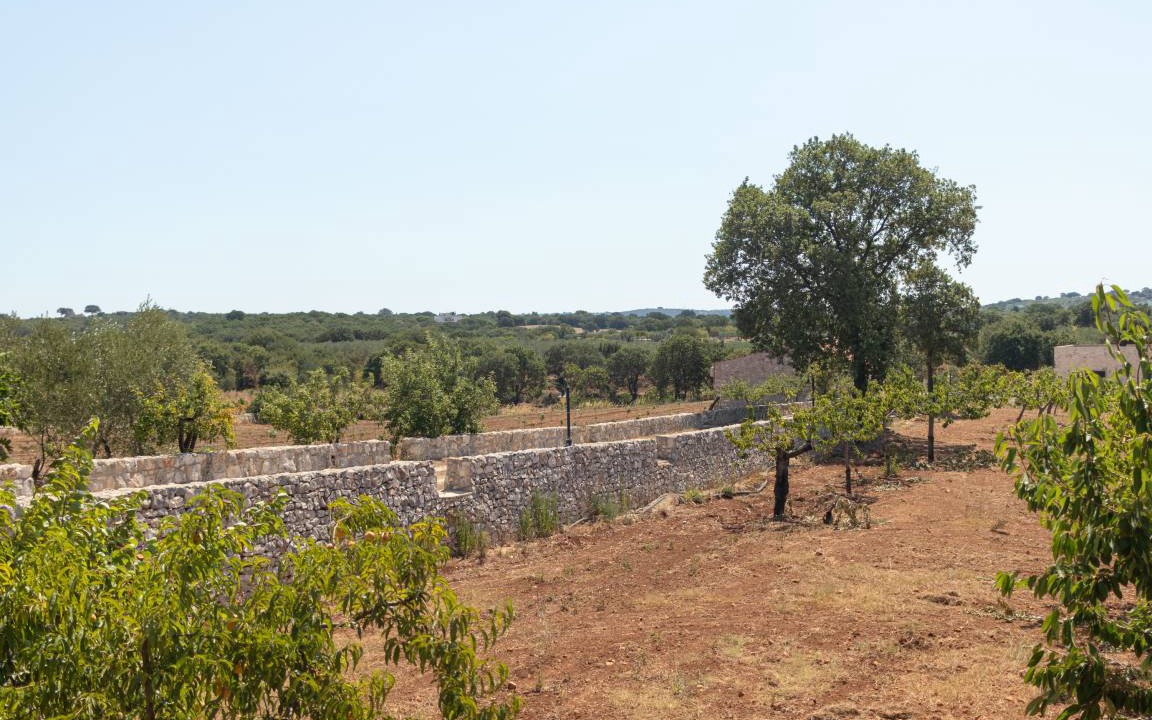 Photo of Others in Alcanterini