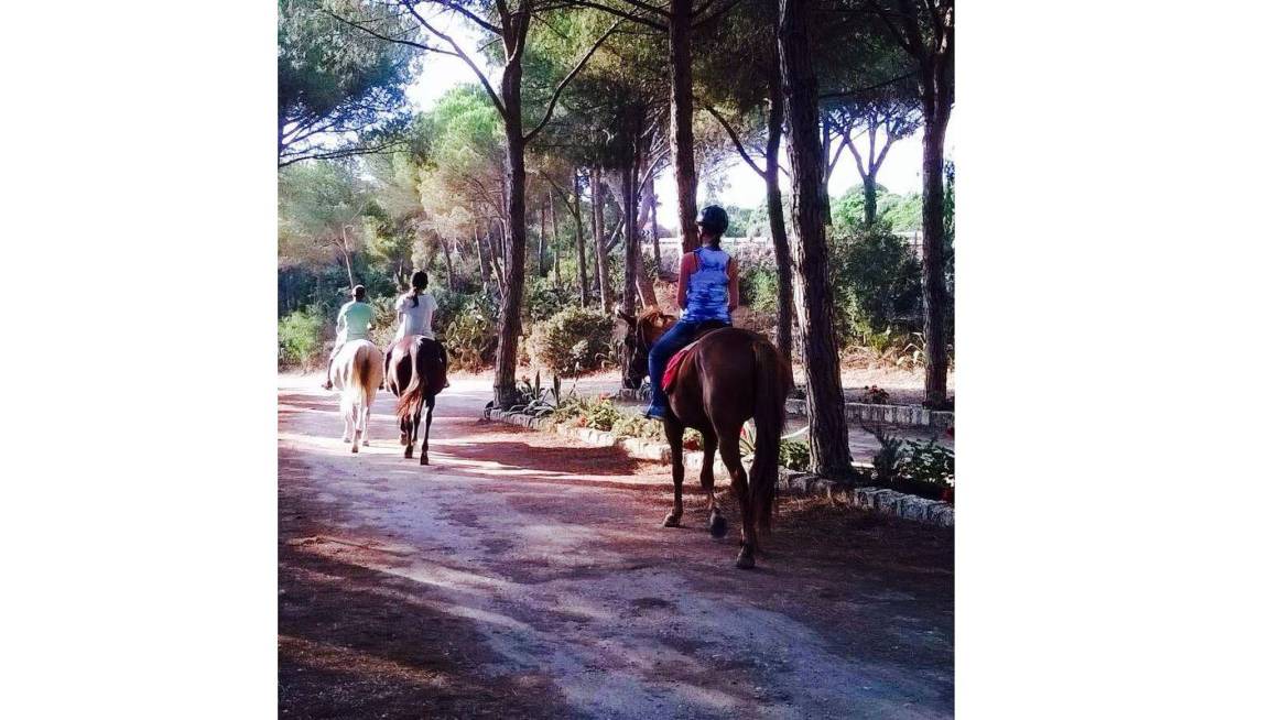 Photo of Others in Cuglieri