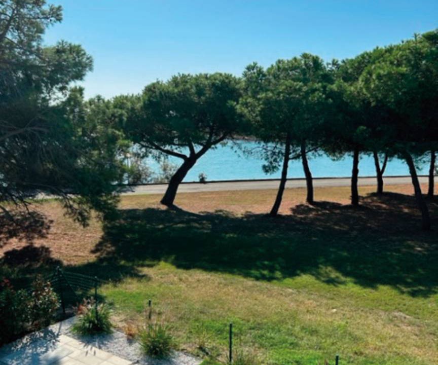 Photo of Outdoor in Isola Albarella