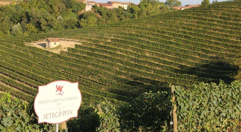 Photo of Others in Grazzano Badoglio