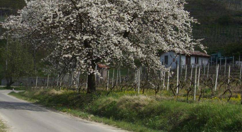 Photo of Others in Canelli