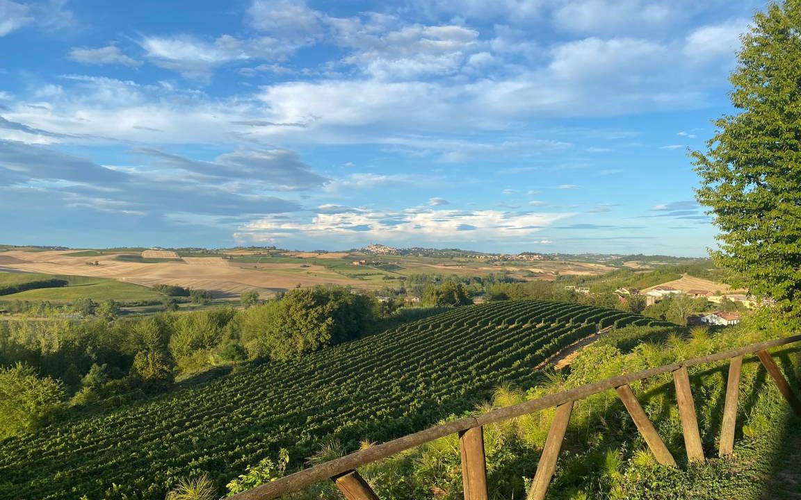 Photo of Others in Montemagno