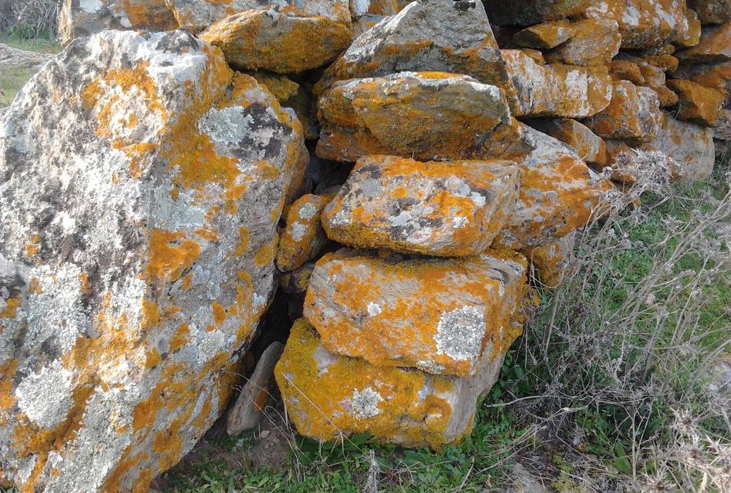 Photo of Others in Siurgus Donigala