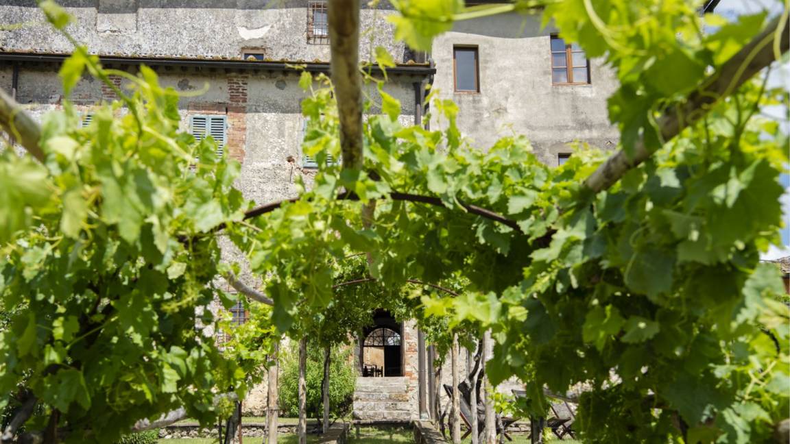 Photo of Others in Sovicille