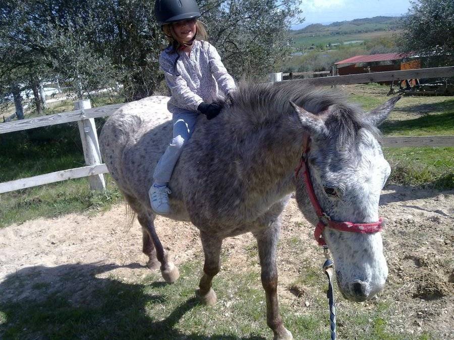 Photo of Others in Magione