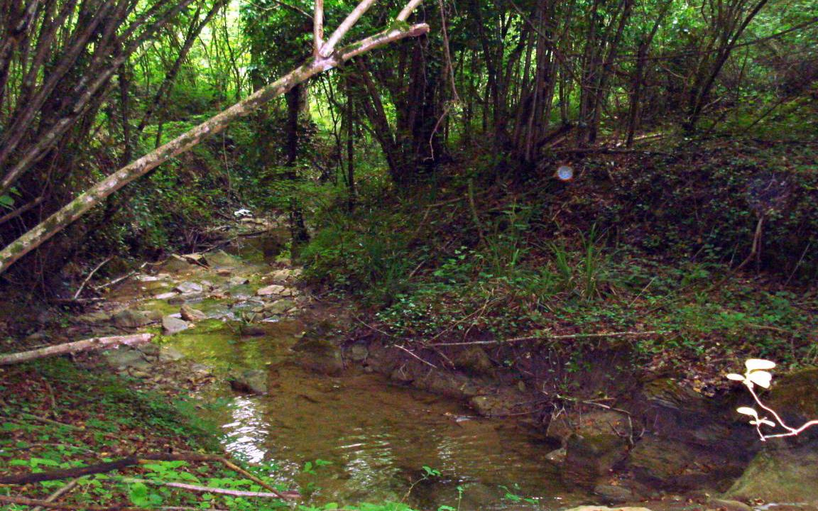 Photo of Others in Sestino