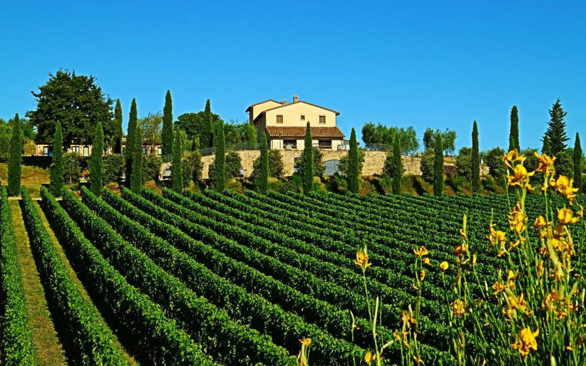 Photo of Outdoor in Sarteano