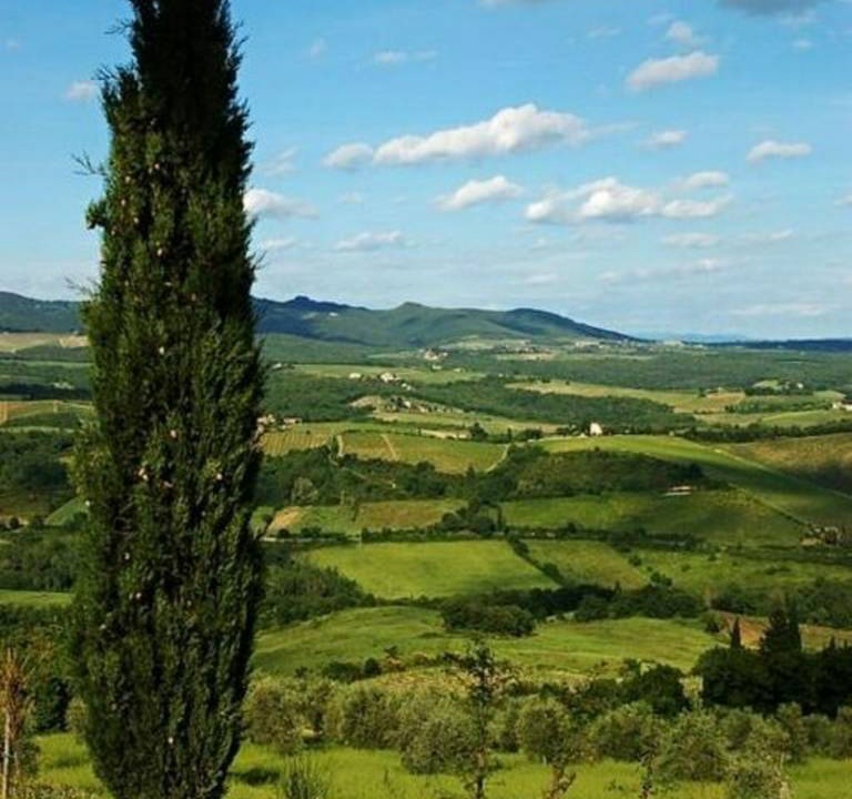 Photo of Others in Pievasciata