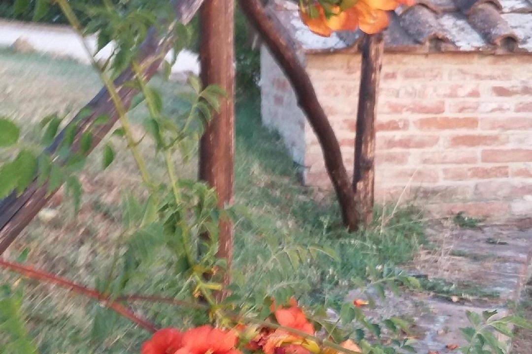 Photo of Others in Ponte di Gabbiano