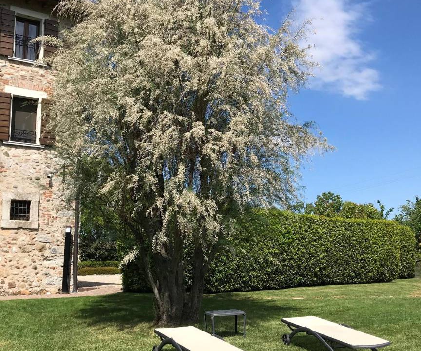 Photo of Outdoor in Bedizzole
