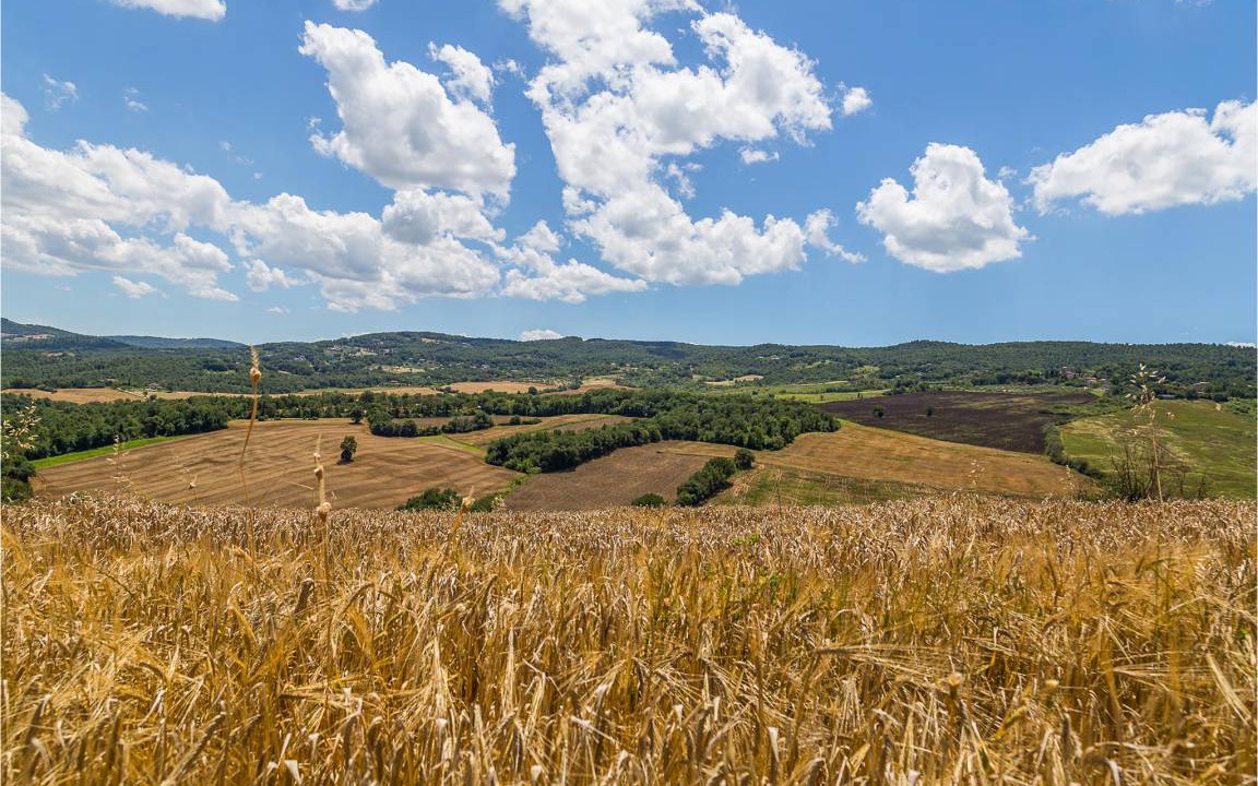 Photo of Outdoor in Papiano