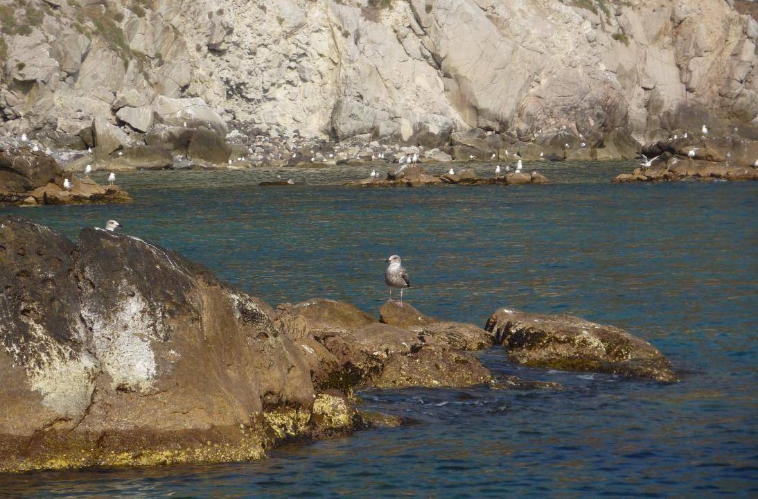 Photo of Others in Santa Caterina