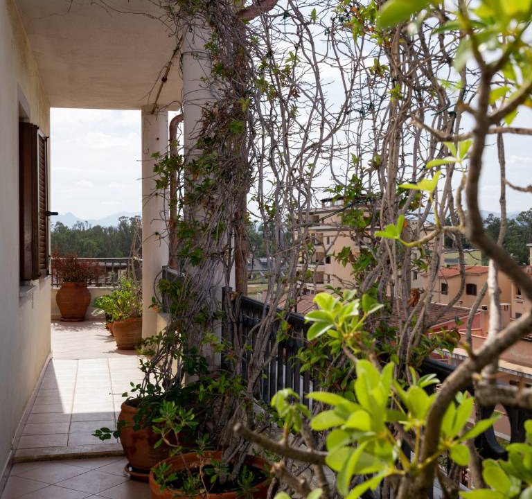 Photo of Patio Balcony in Olbia