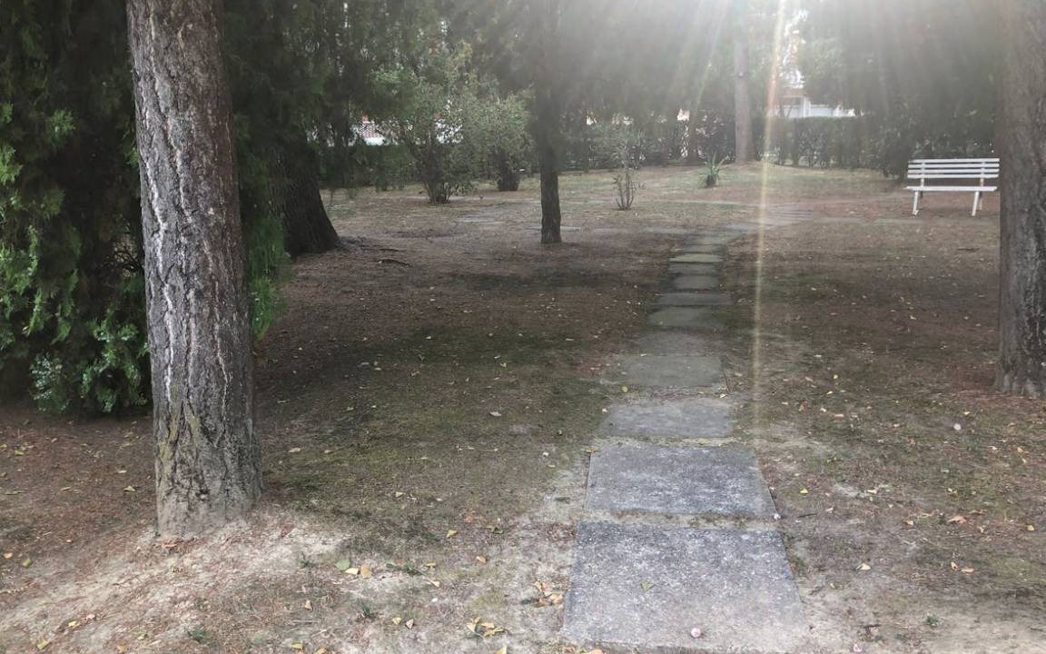 Photo of Others in Ferrara