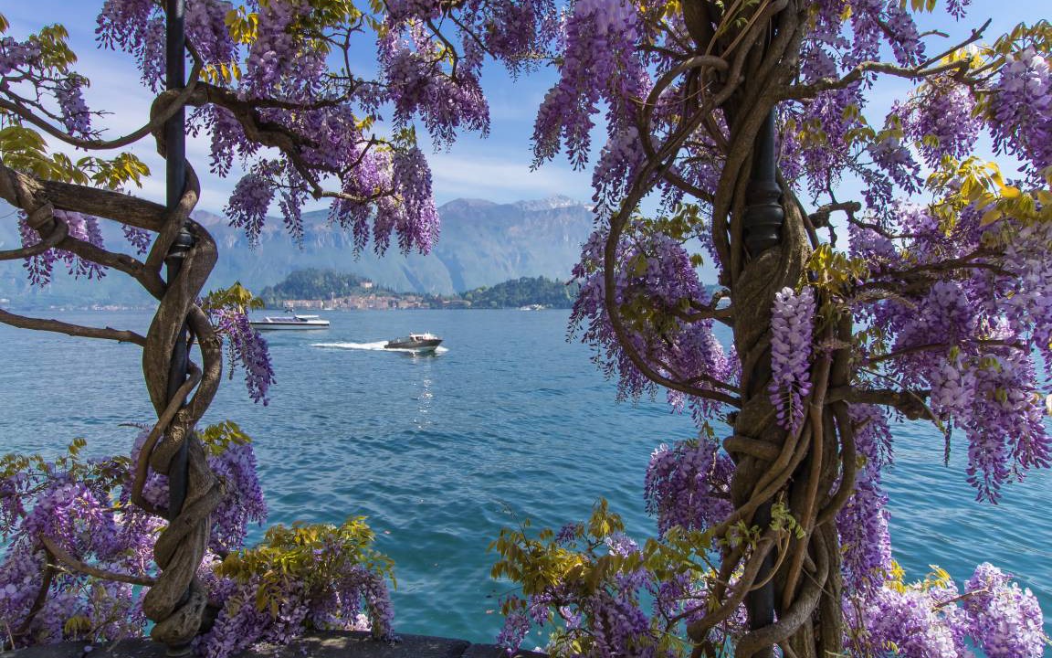 Photo of Others in Menaggio