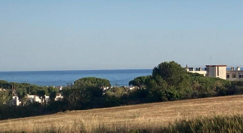 Photo of Others in Tolfa